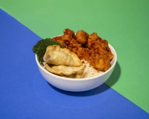 General Tso's Chicken with Potstickers and White Rice available at Holiday World & Splashin' Safari.