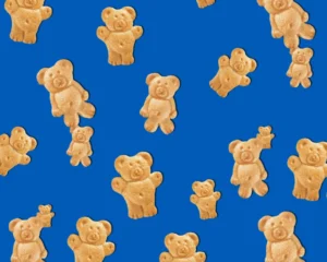 Teddy Grahams available at Holiday World.